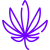 Hemp Boxes