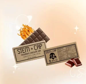 Custom Mushroom Chocolate Bar Boxes