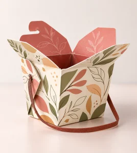 Custom Chinese Food Packaging Boxes