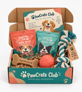 Custom Dog Toy Boxes