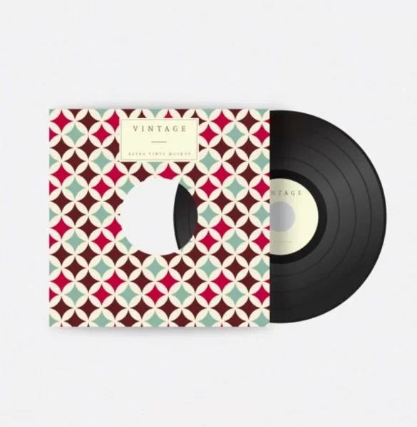 Custom CD Sleeves Printing Wholesale