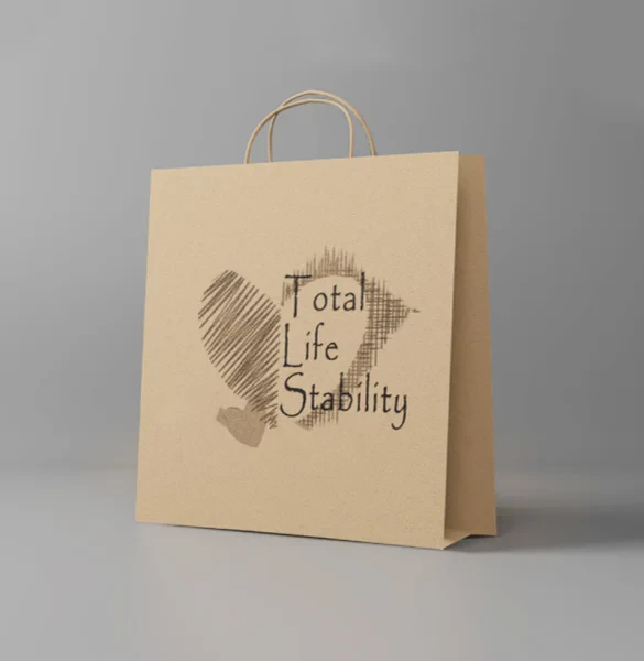 Custom Paper Bag Packaging Boxes