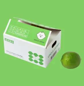 Custom Shipping Packaging Boxes