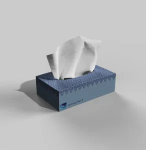 Custom Tissue Packaging Boxes